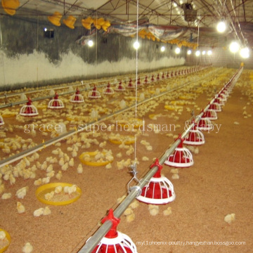 Automatic Chicken Housing Equipment for Broiler